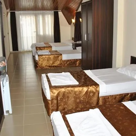 Otel Palm 3*