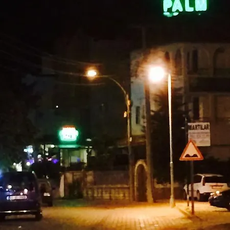 Palm 3* مرمريس