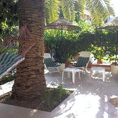 Palm 3* מרמריס