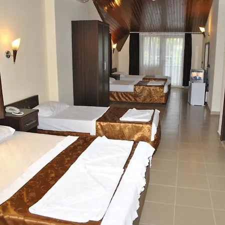 Palm 3* مرمريس